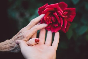 Hand in hand with a rose