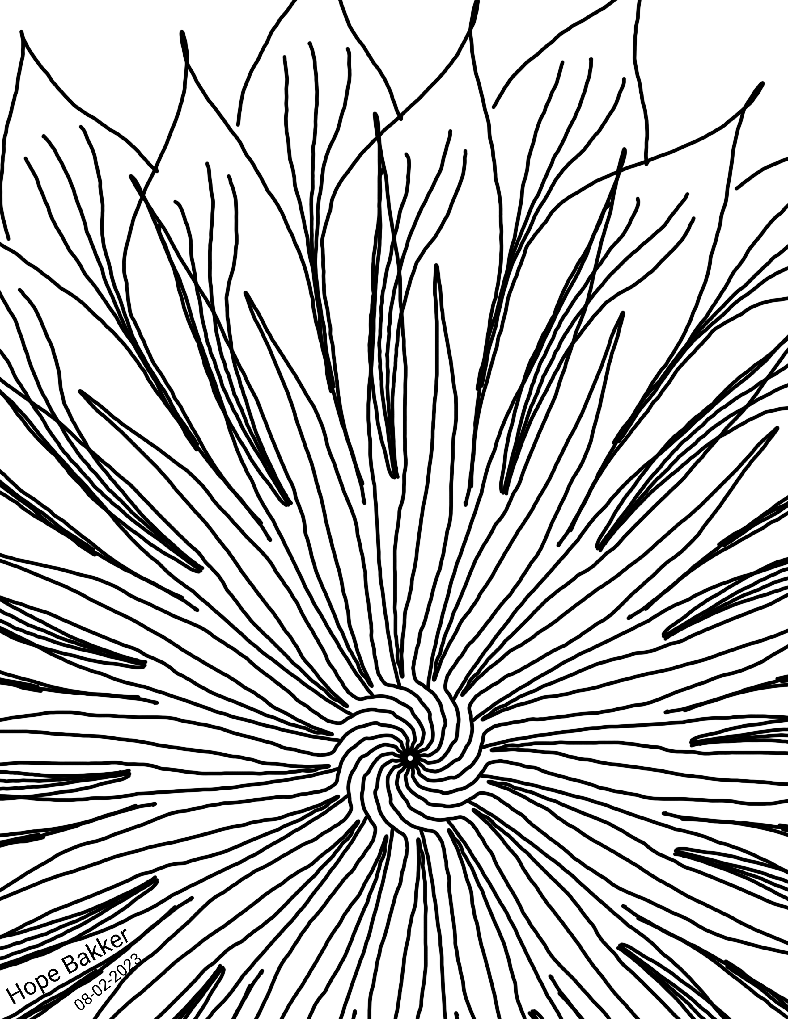 Daisy design in line art by Hope Bakker